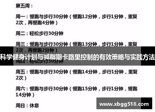 科学健身计划与减脂期卡路里控制的有效策略与实践方法