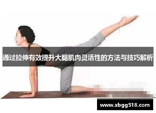 通过拉伸有效提升大腿肌肉灵活性的方法与技巧解析