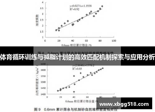 体育循环训练与减脂计划的高效匹配机制探索与应用分析